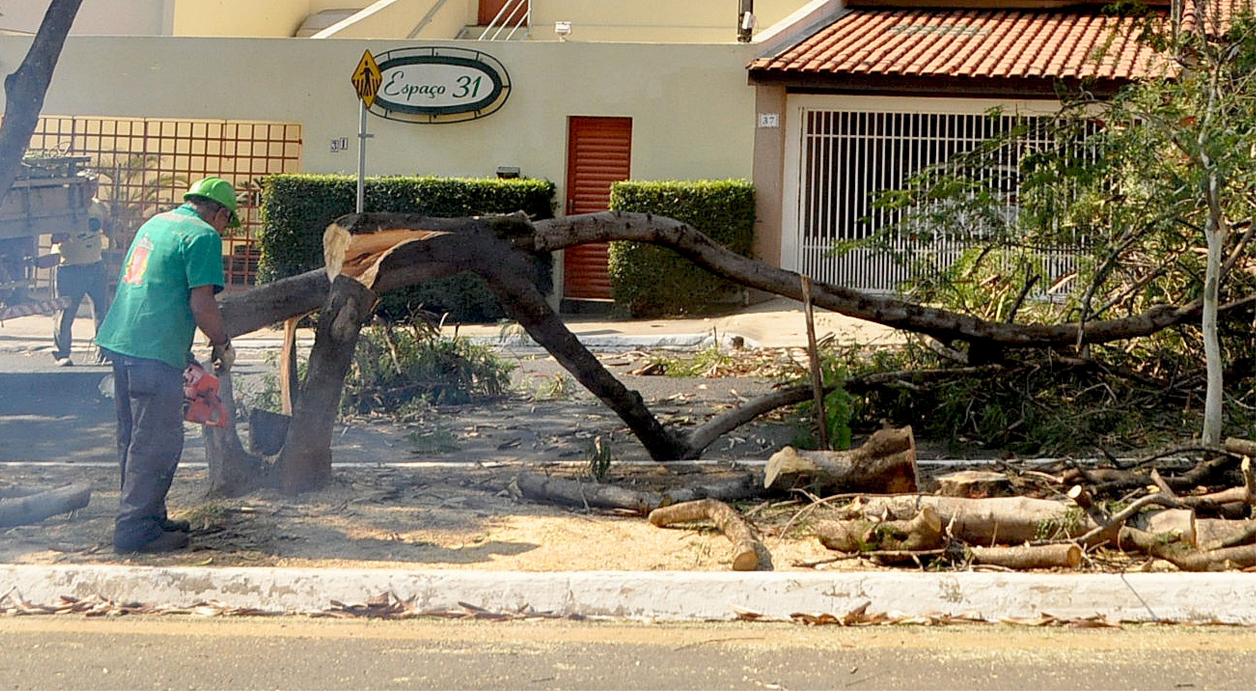 Prefeitura justifica corte de árvores