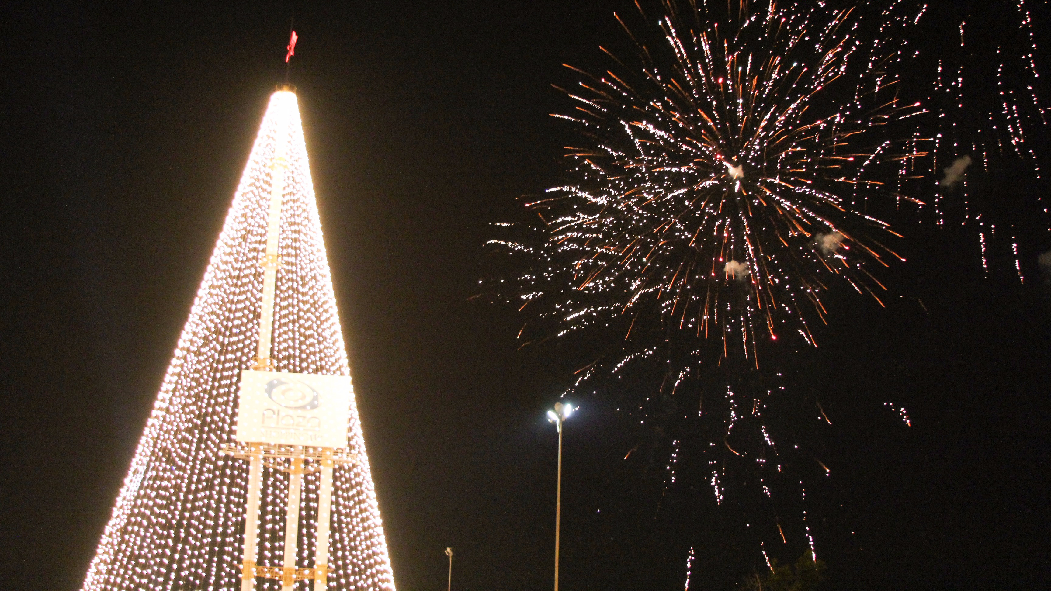 Árvore de Natal do Plaza será inaugurada na próxima sexta-feira