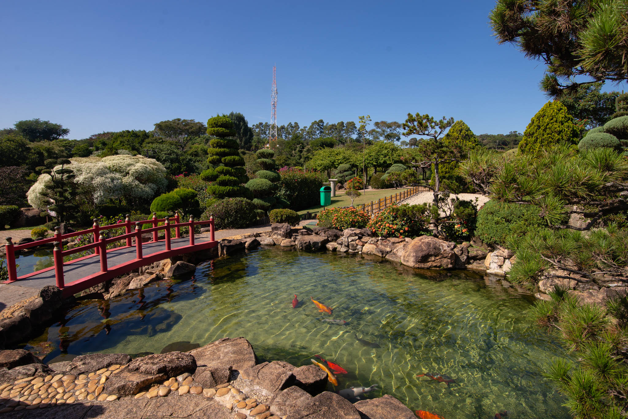 Férias de julho com funcionamento especial no Maeda 