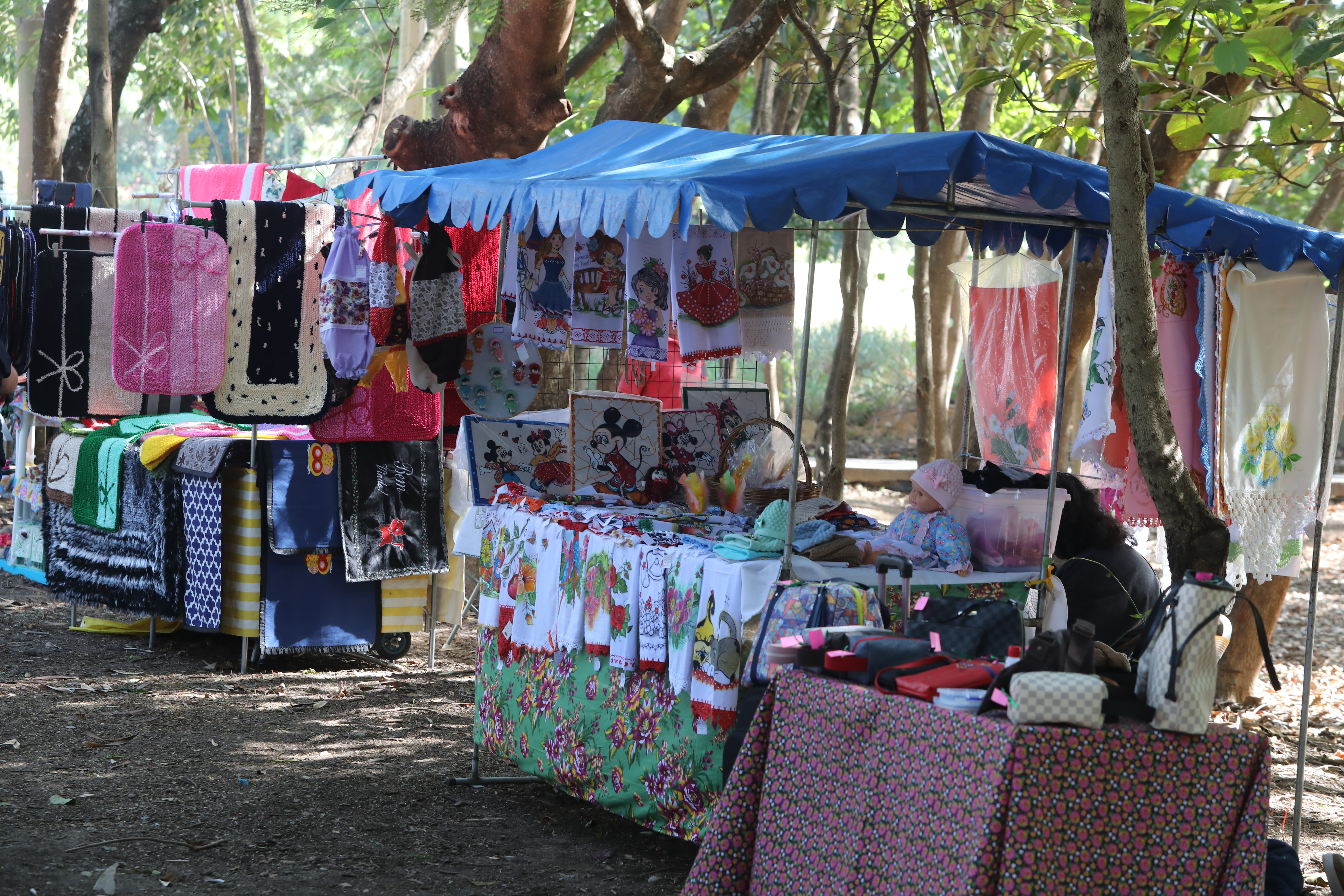 Feira EcoArt acontece neste domingo com o tema “Nordeste”