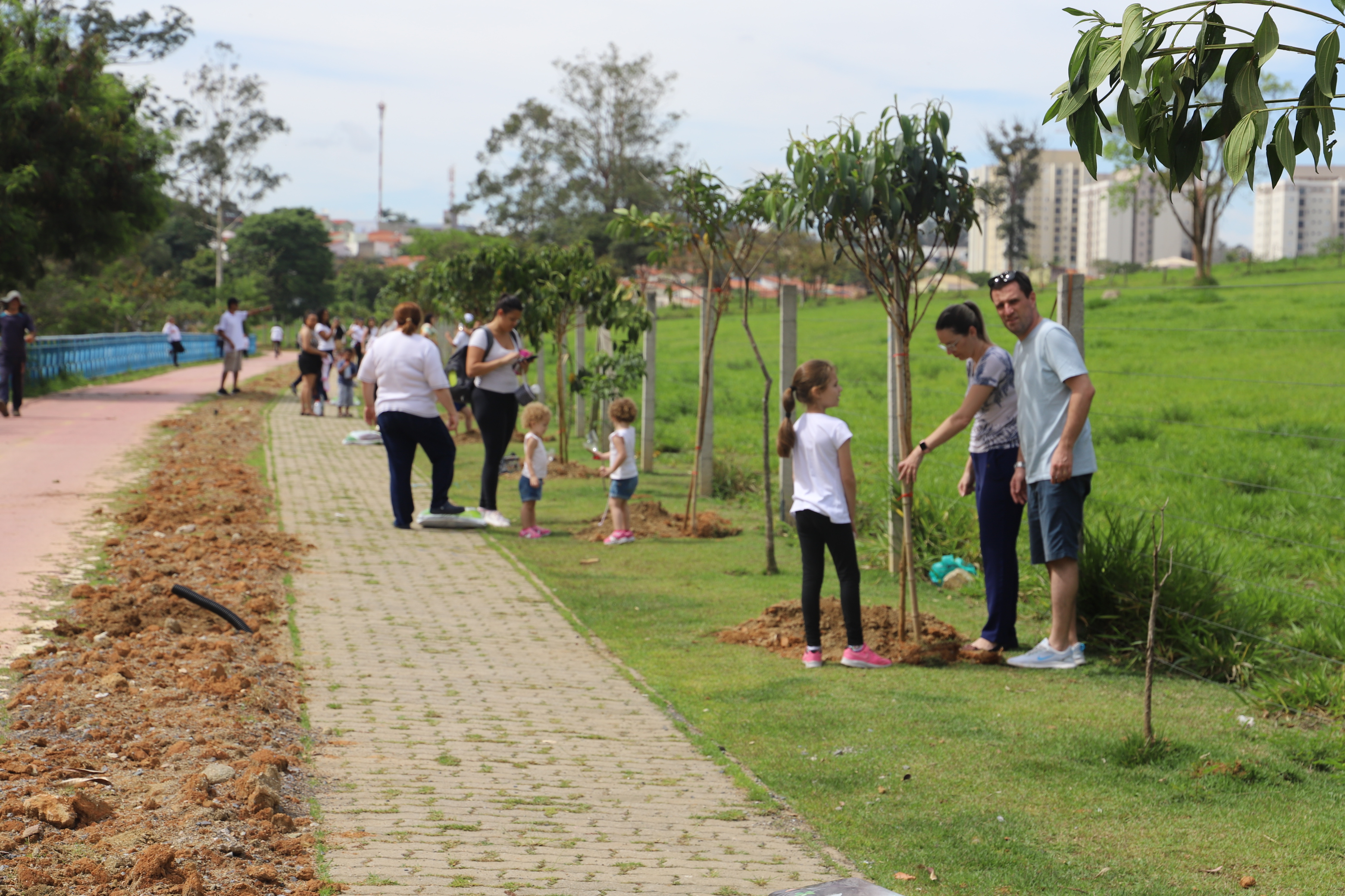 Plantio de mudas nativas homenageia crianças e médicos