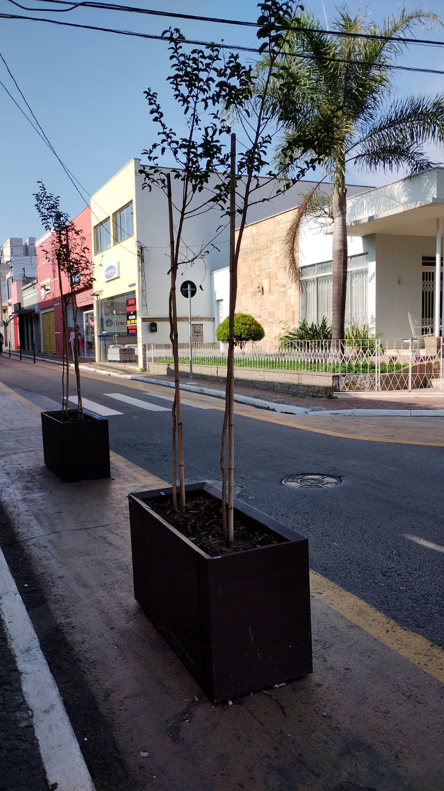 Boulevard da Floriano recebe revitalização paisagística