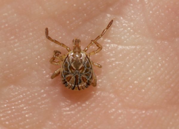 Nota Oficial – Fazenda Santa Margarida