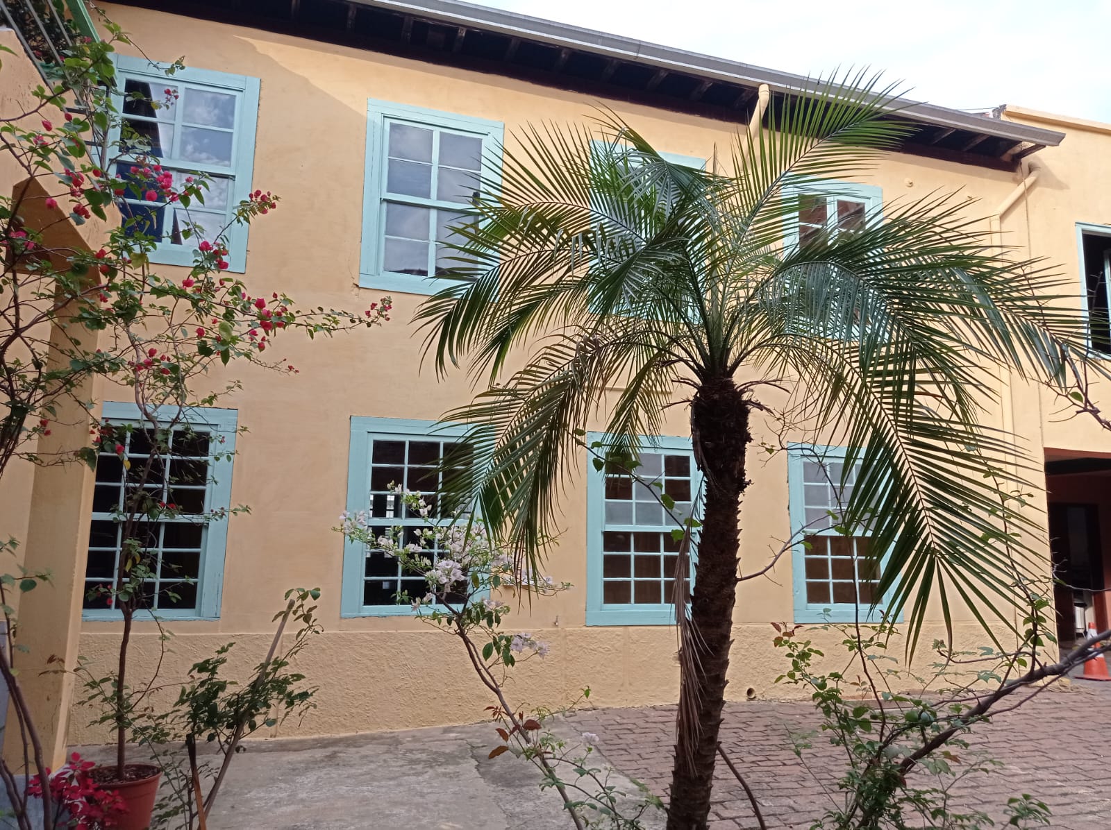 Feira de Antiguidades & Curiosidades especial Dia das Crianças acontece neste domingo, dia 1 de outubro