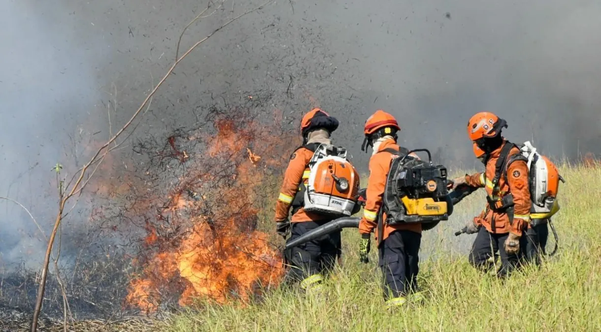 Brasil bate recorde de queimadas no primeiro semestre de 2024, diz estudo