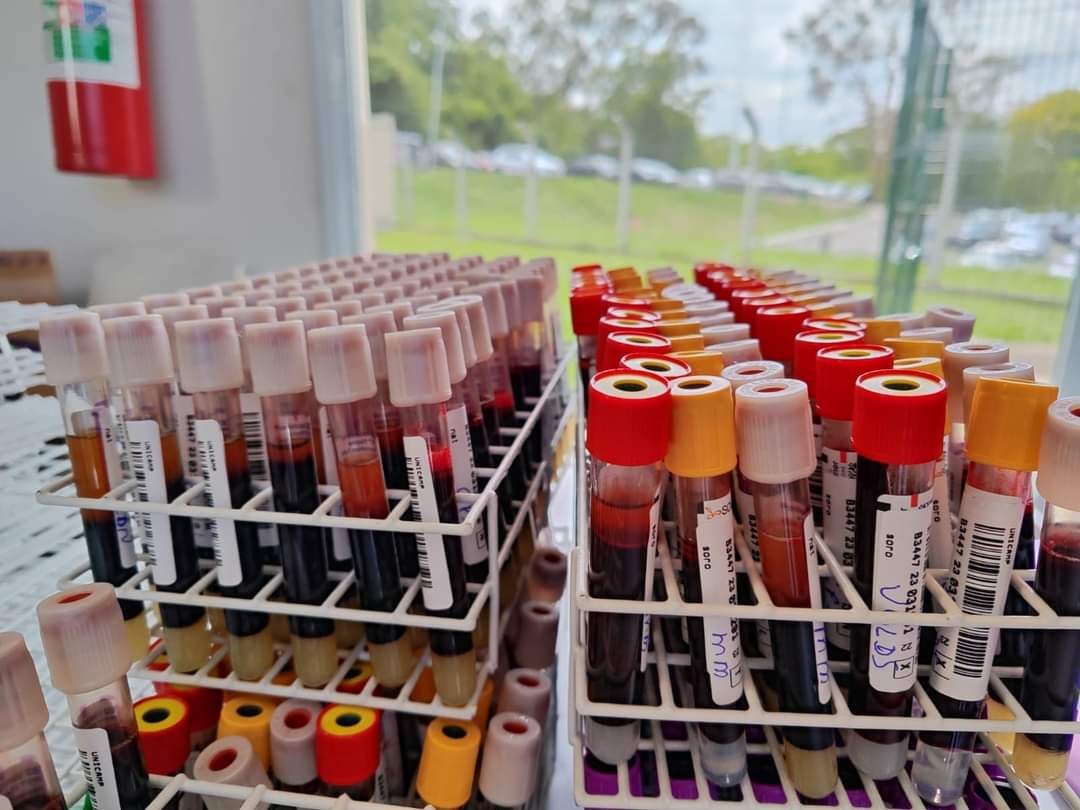 Doação de sangue acontece no dia 17 de maio na Clínica Moutonnée