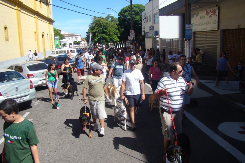 ONG Bichos S/A retoma atividades com força total e convoca novos voluntários para transformar a causa animal em Itu e região