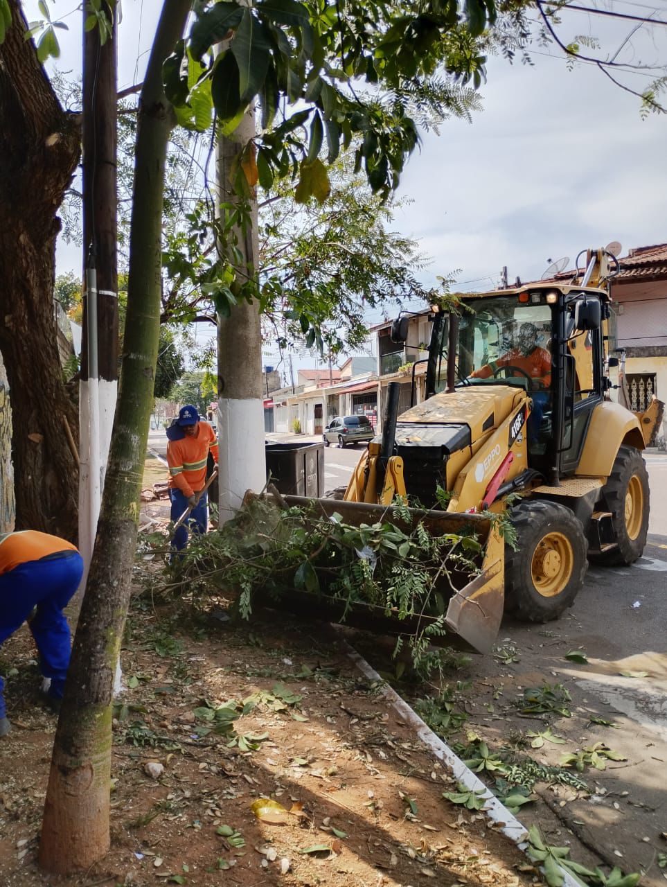 Mutirão de limpeza atua no Portal do Éden