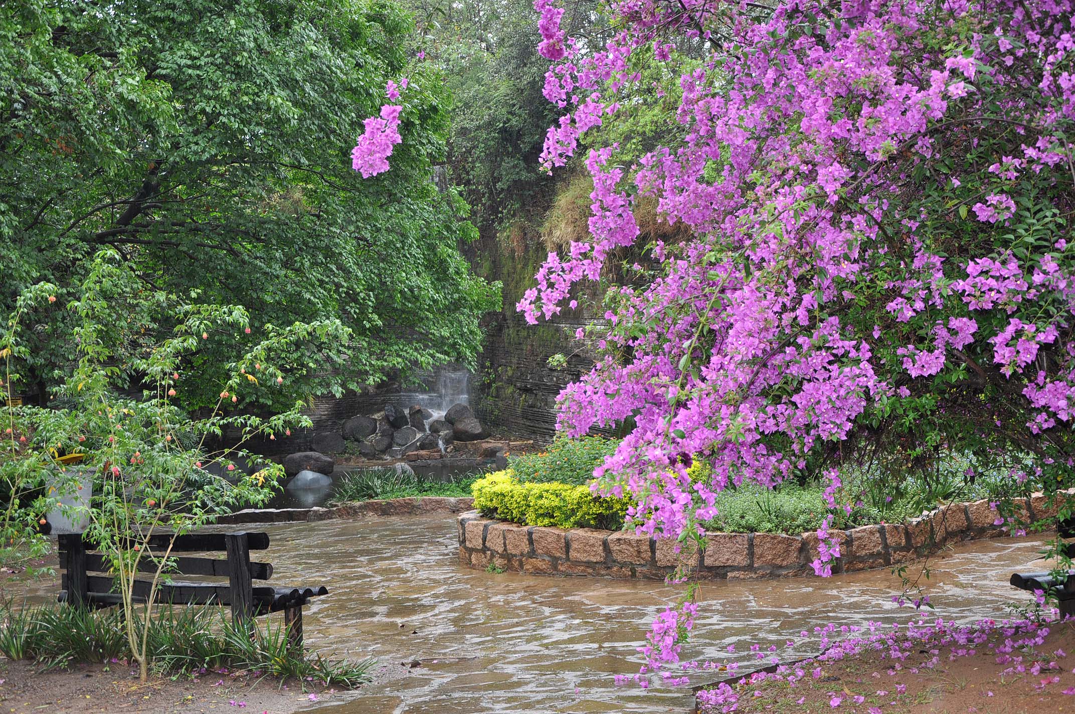 Parque do Varvito celebra 30 anos com Concerto da Primavera e edição especial da Ecoart