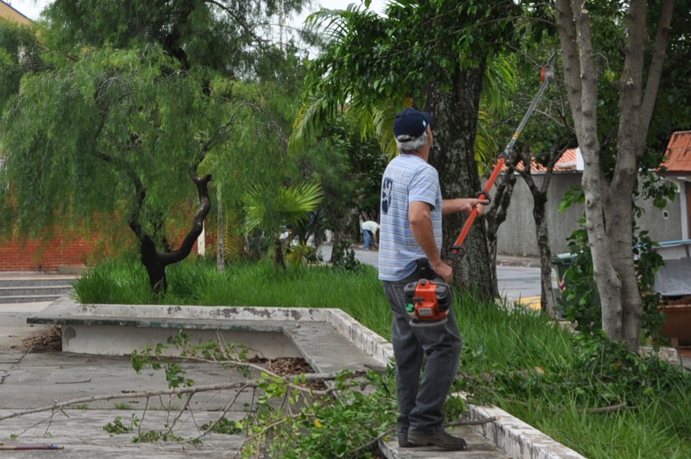 Prefeitura de Itu esclarece regras para poda e corte de árvores e reforça exigência de autorização prévia