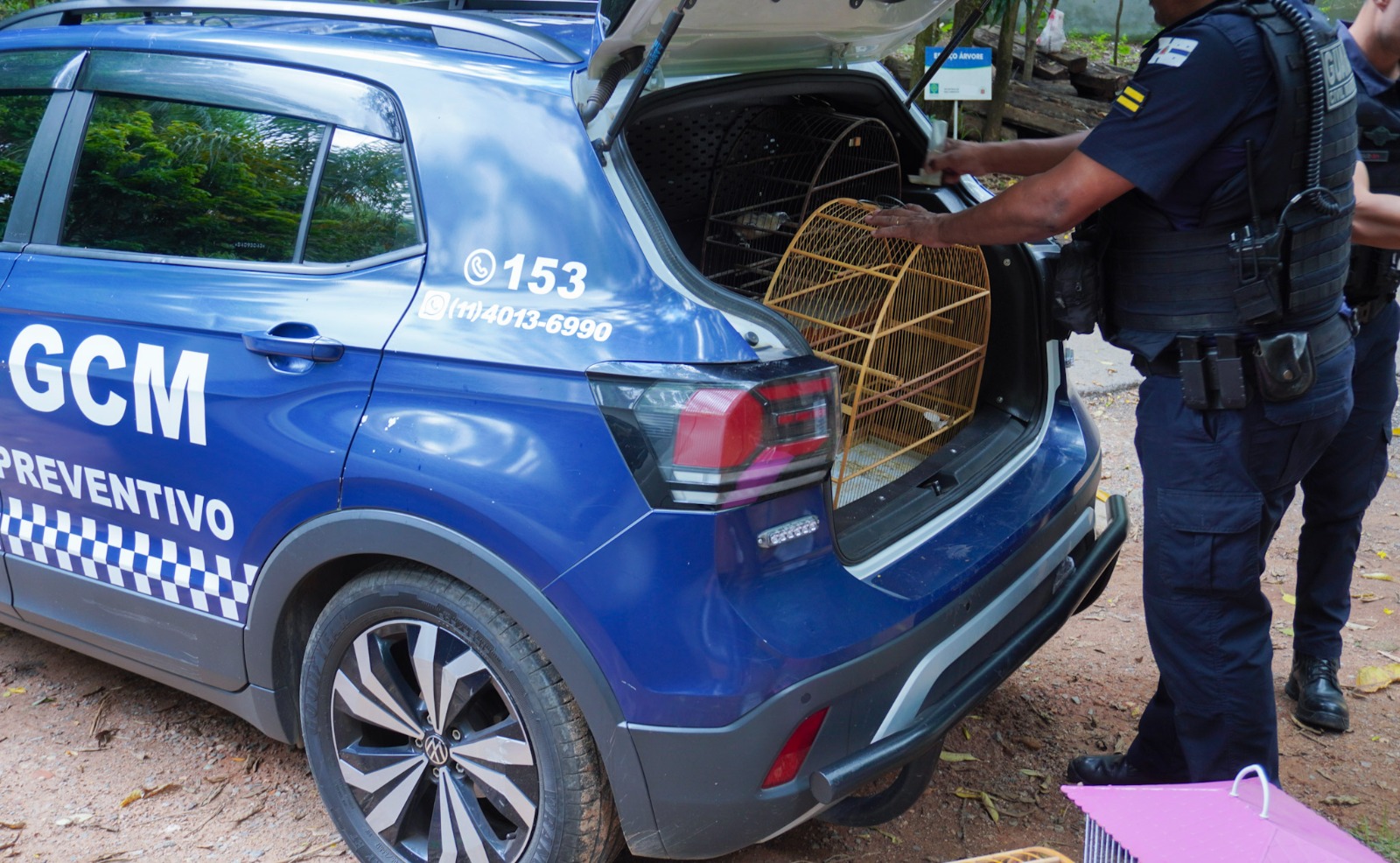 Ação do GEPAR resulta na apreensão de aves silvestres no bairro Cidade Nova