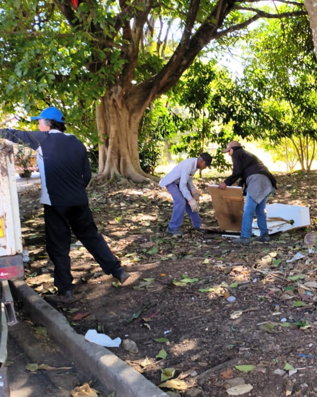 Operação Cata-Treco atende Parque Industrial e Jardim Agarussi nesta sexta-feira