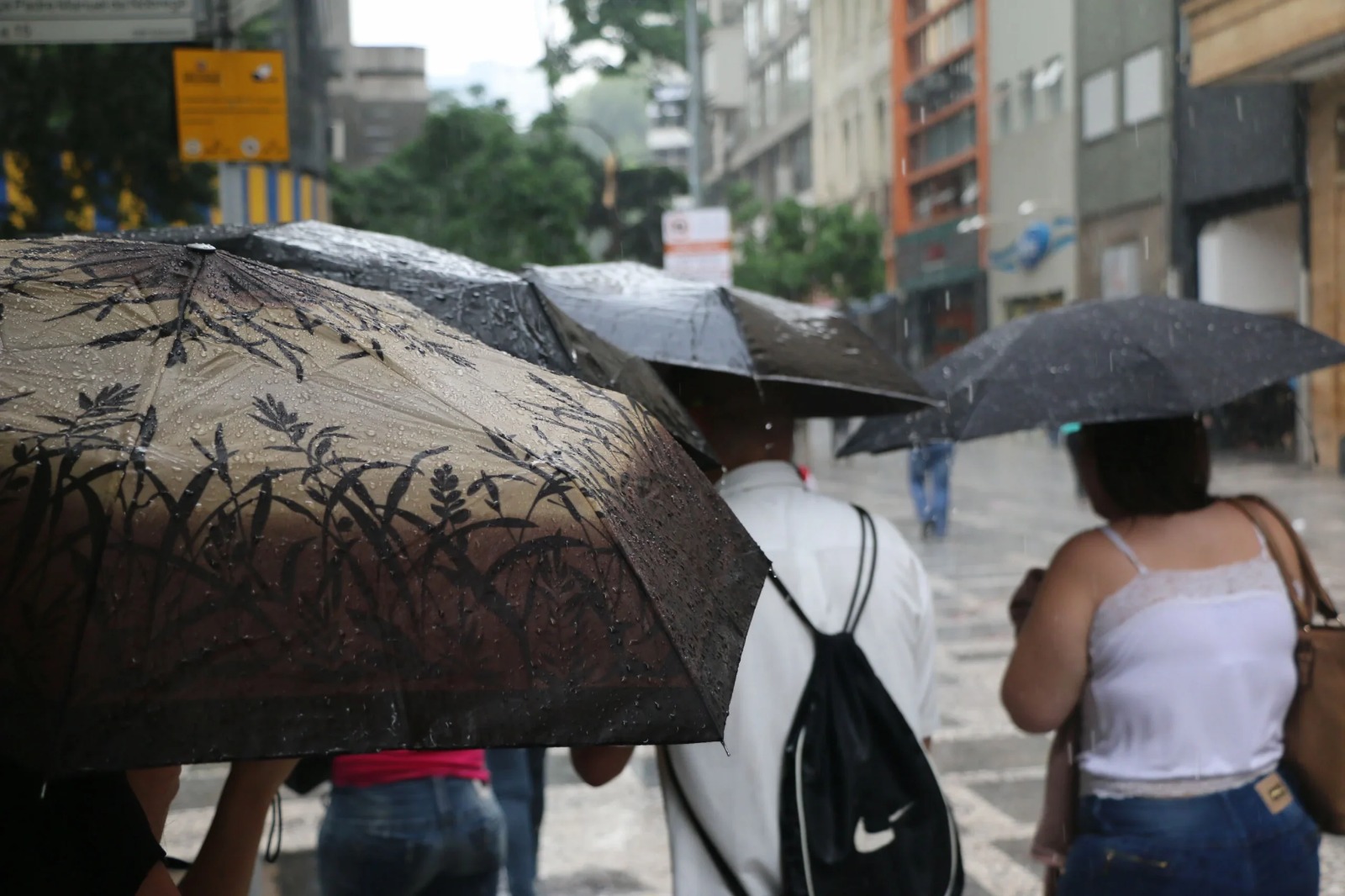 Defesa Civil alerta para chuva forte entre quarta e quinta-feira em diferentes regiões do estado